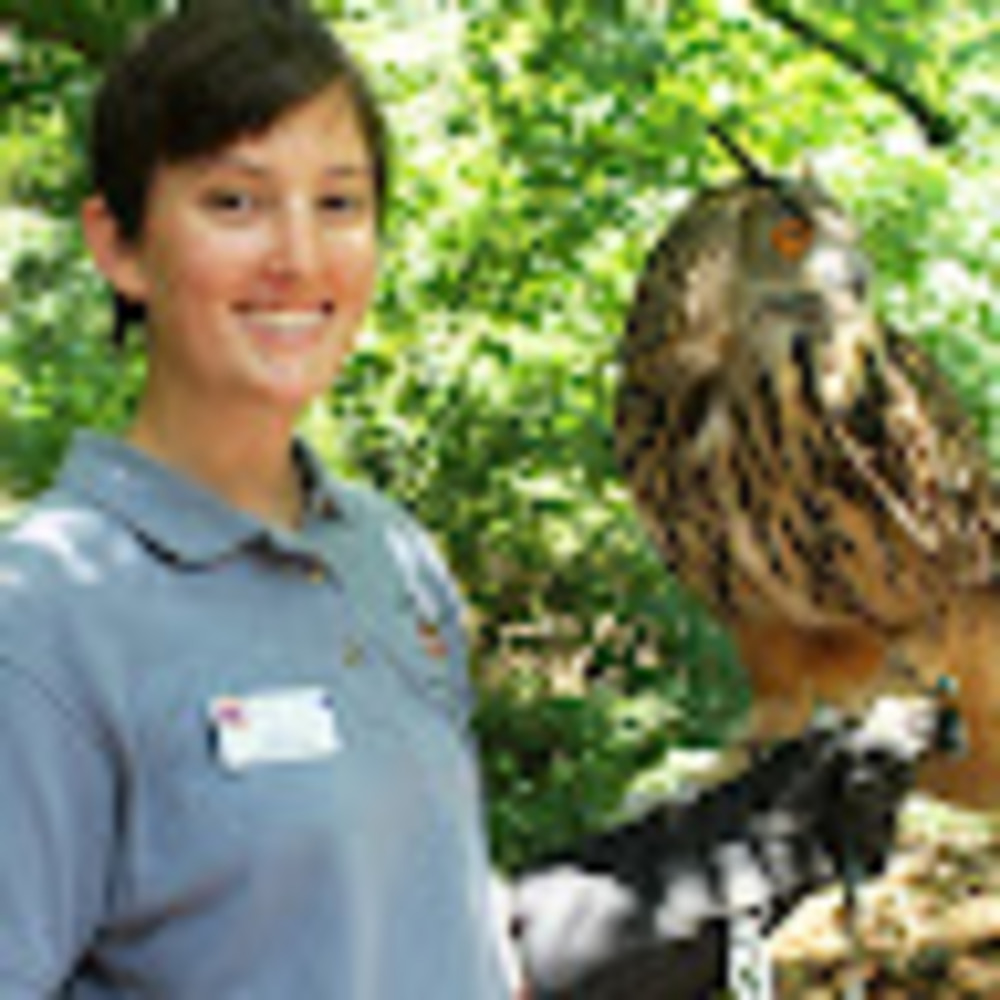 Meet your Posher, Kate